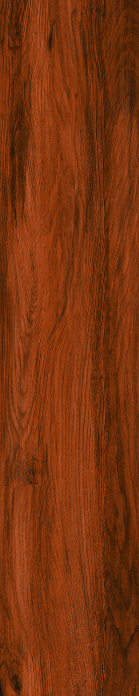 Matte Finish 10017 Porcelain 200x1000mm