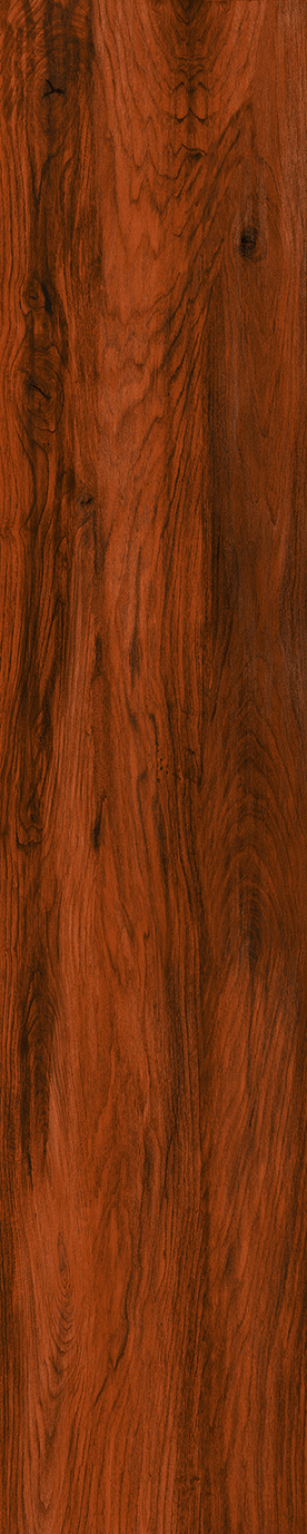 Matte Finish 10017 Porcelain 200x1000mm