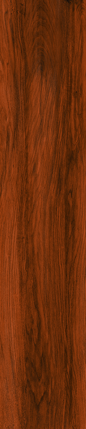 Matte Finish 10017 Porcelain 200x1000mm