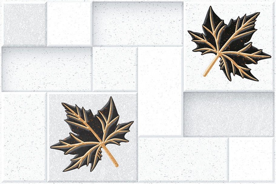 Matte Finish 3806 Ceramic 300x450mm