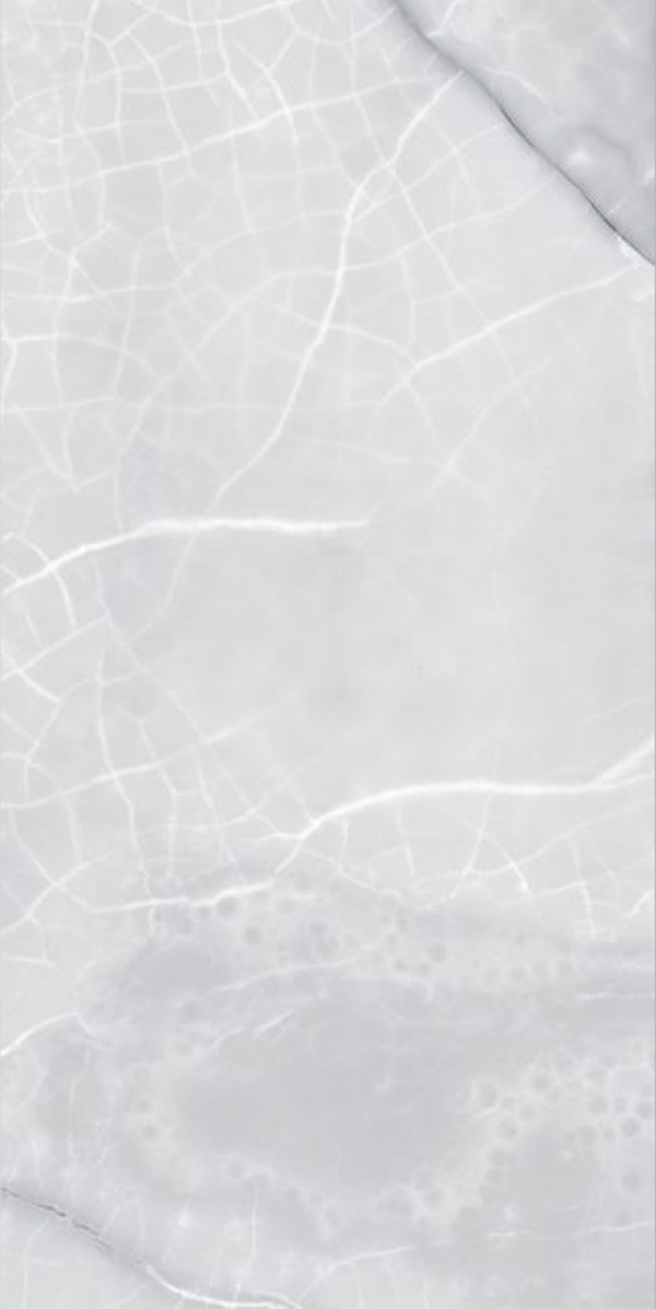 Glossy Finish Aldo Grey GVT 600x1200mm