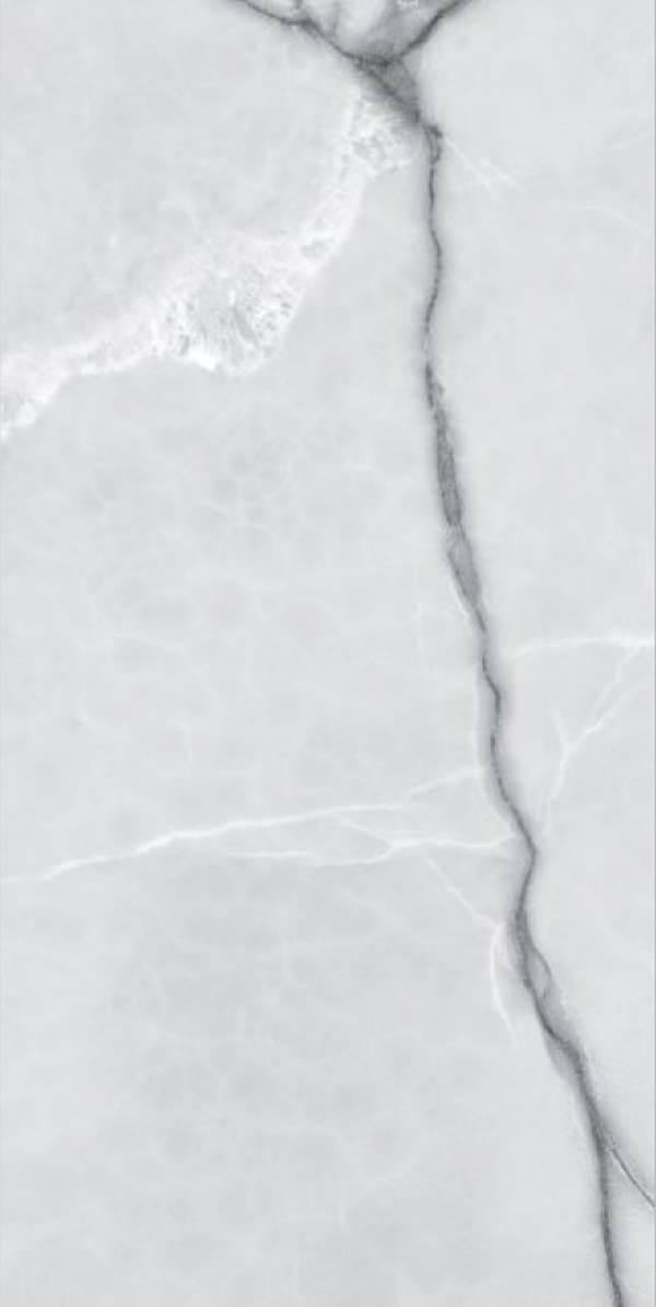 Glossy Finish Aldo Grey GVT 600x1200mm