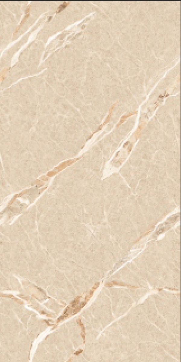 Glossy Finish Amaranto Brown  GVT 600x1200mm