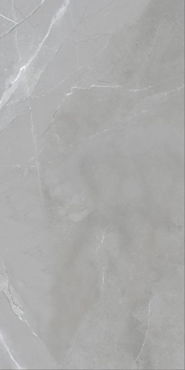 Glossy Finish Armani Grey GVT 600x1200mm