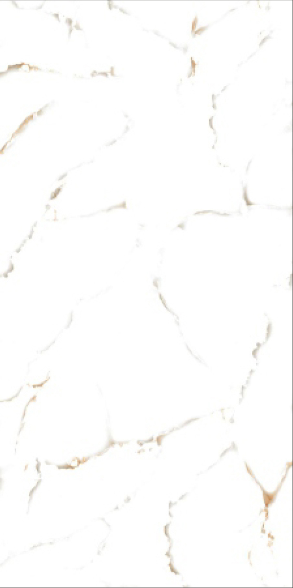 Glossy Finish Aversa Statuario GVT 600x1200mm