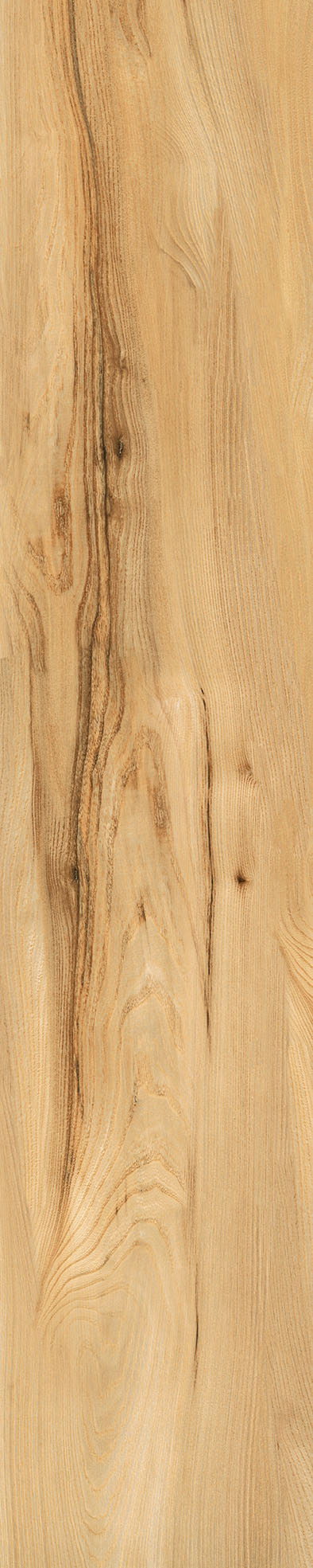 Matte Finish Biscuit Porcelain 200x1000mm