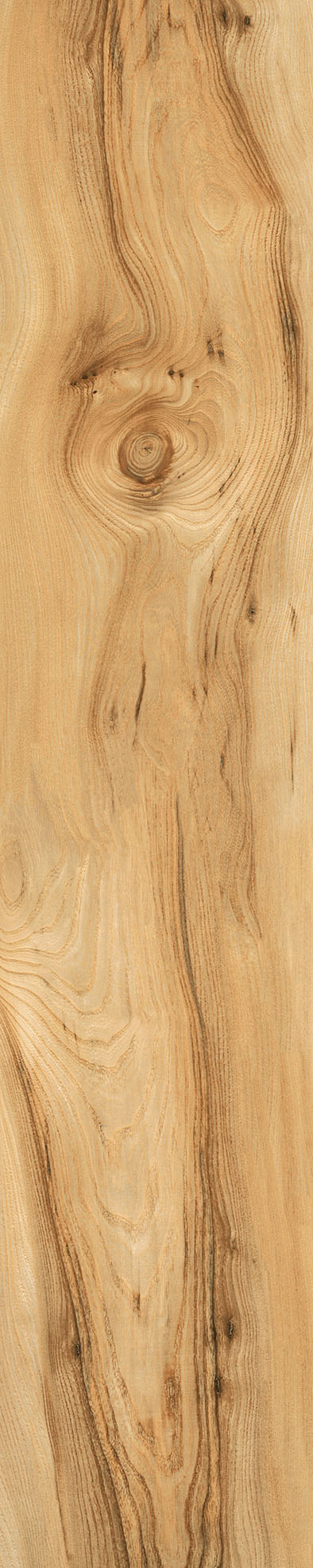 Matte Finish Biscuit Porcelain 200x1000mm