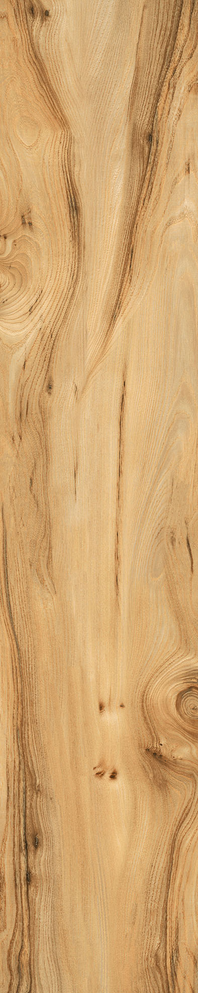 Matte Finish Biscuit Porcelain 200x1000mm