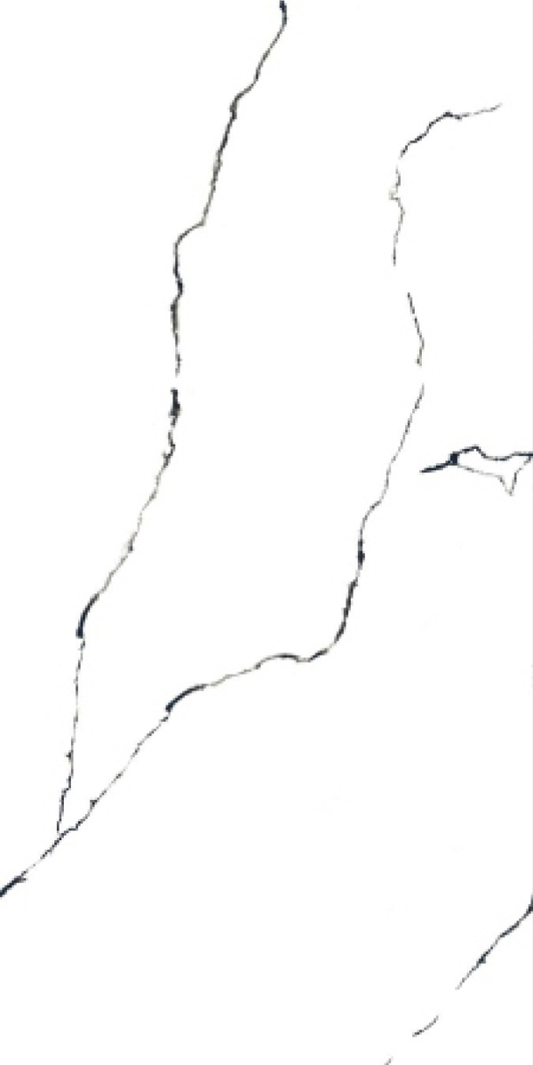 Glossy Finish Black Panther GVT 600x1200mm