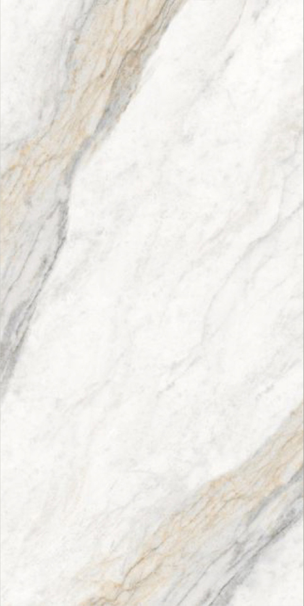 Glossy Finish Borghini Brown GVT 600x1200mm