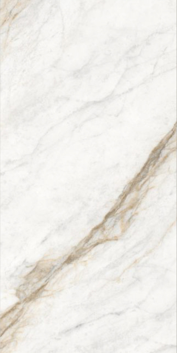 Glossy Finish Borghini Brown GVT 600x1200mm