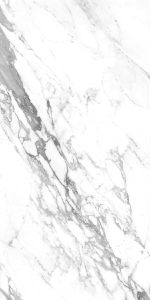 Glossy Finish Capricon Silver GVT 600x1200mm