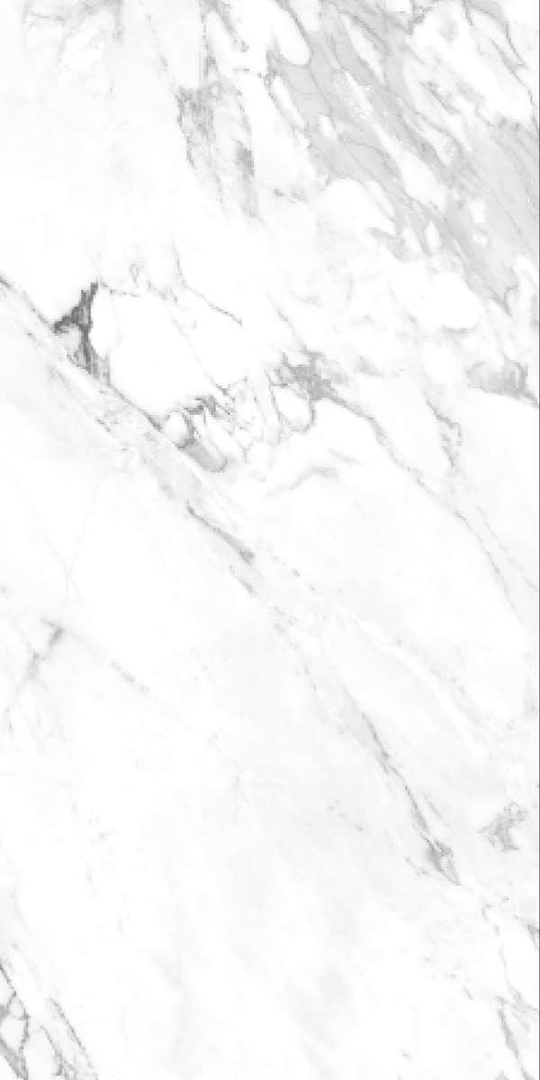 Glossy Finish Capricon Silver GVT 600x1200mm