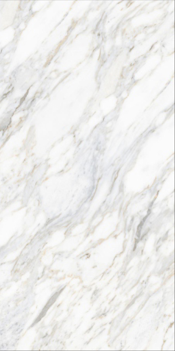 Cruto Statuario Grey 600x1200mm Glossy PGVT tile in a marble look