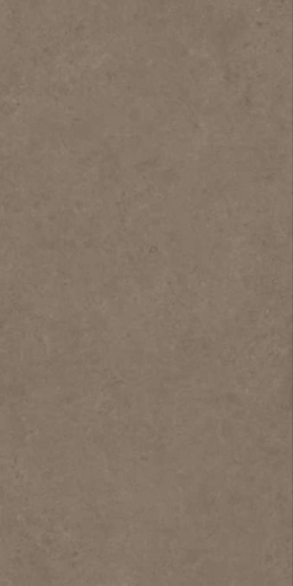 Matte Finish Evoque Brown GVT 600x1200mm