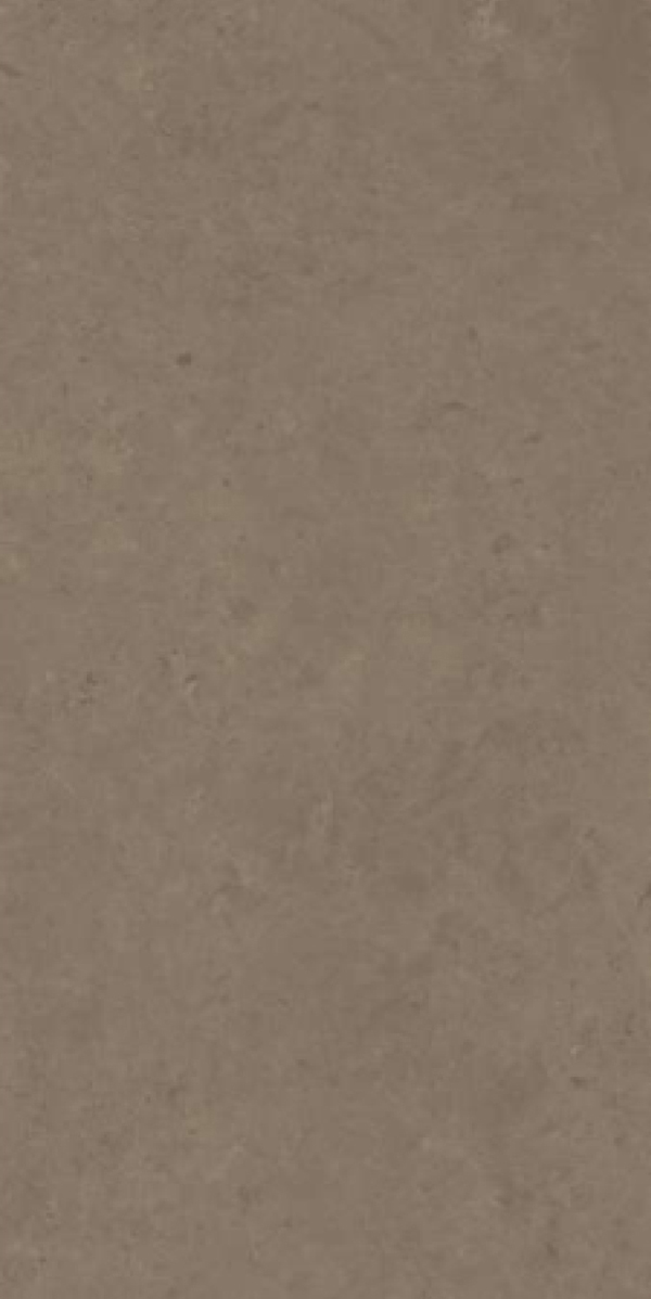Matte Finish Evoque Brown GVT 600x1200mm