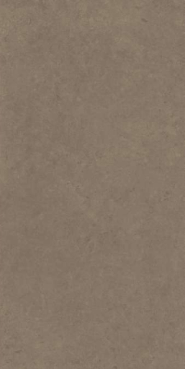 Matte Finish Evoque Brown GVT 600x1200mm