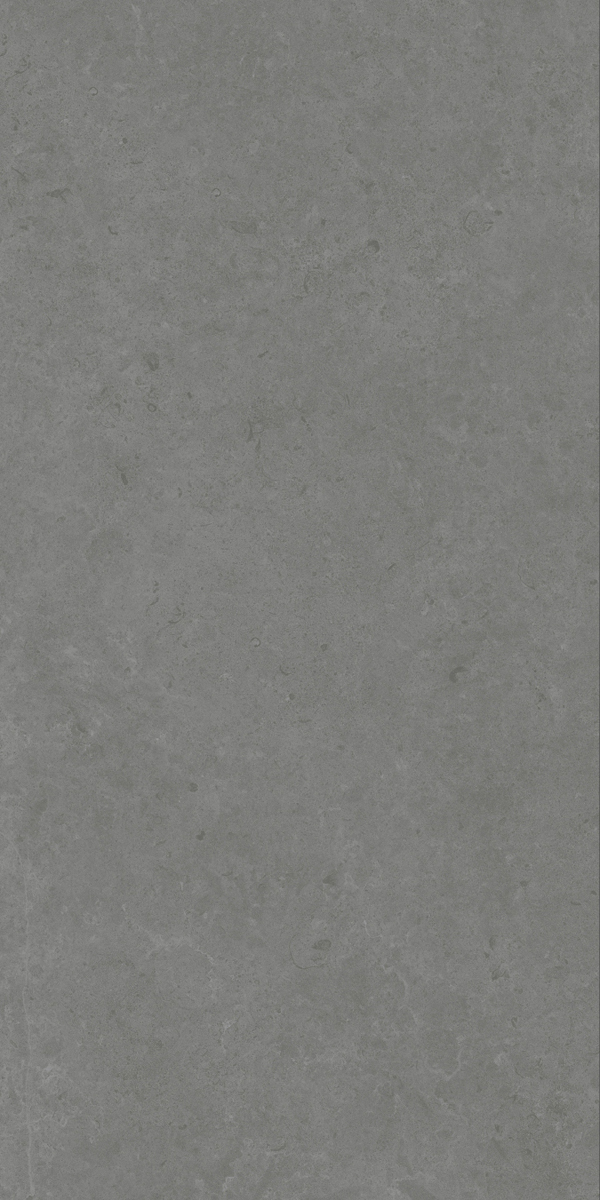 Matte Finish Evoque Fossil Grey GVT 600x1200mm