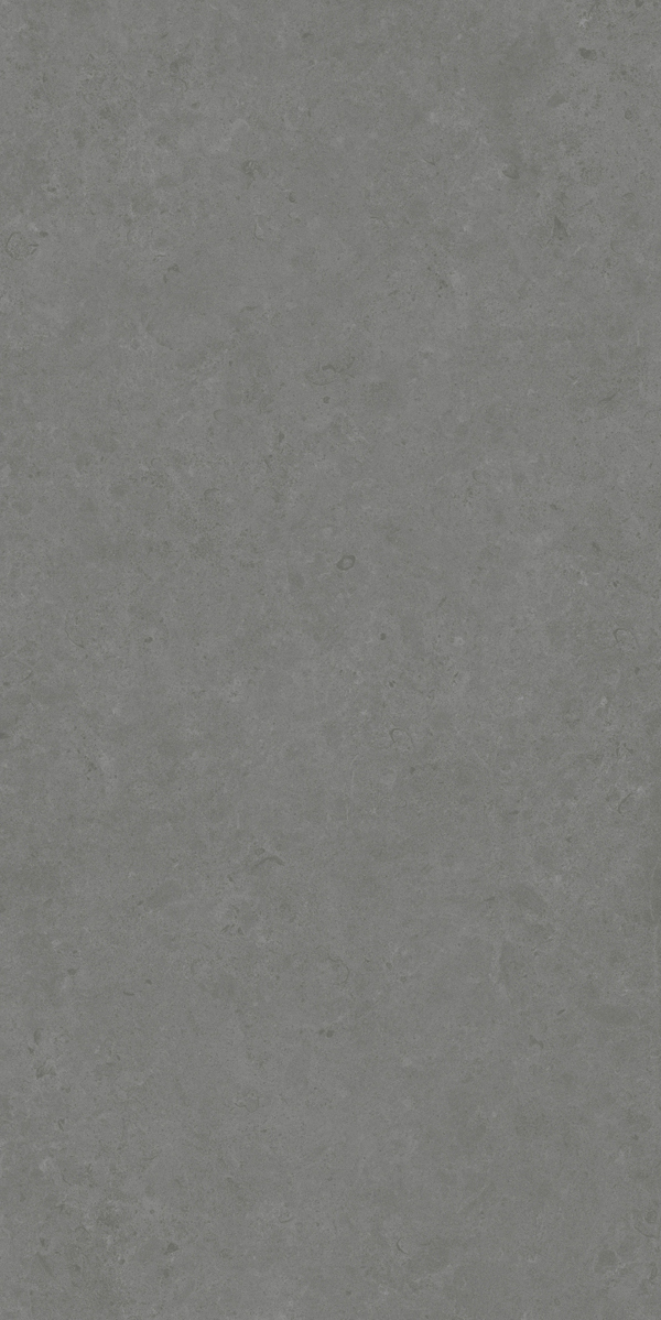 Matte Finish Evoque Fossil Grey GVT 600x1200mm