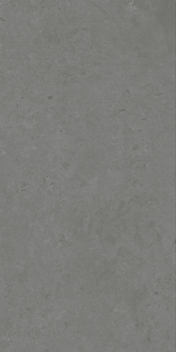 Matte Finish Evoque Fossil Grey GVT 600x1200mm