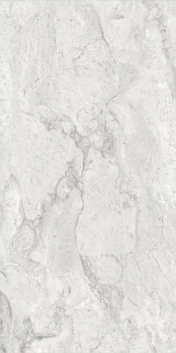 Glossy Finish Galaxy Grey  600x1200mm