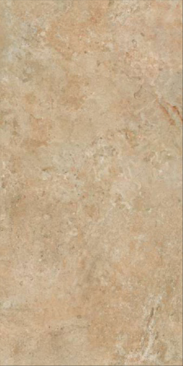 Matte Finish Lendmark Brown 600x1200mm