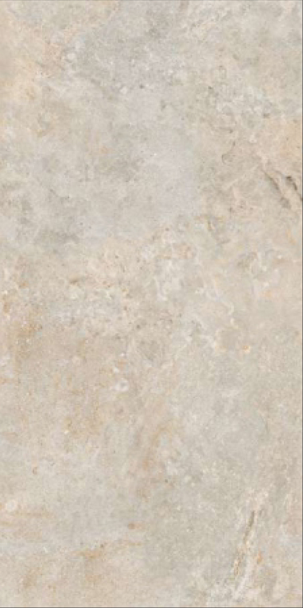 Matte Finish Lendmark Grey GVT 600x1200mm