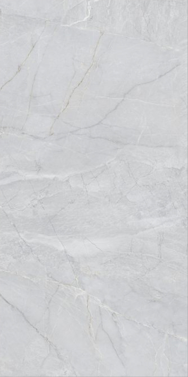 Glossy Finish Rome Gris GVT 600x1200mm