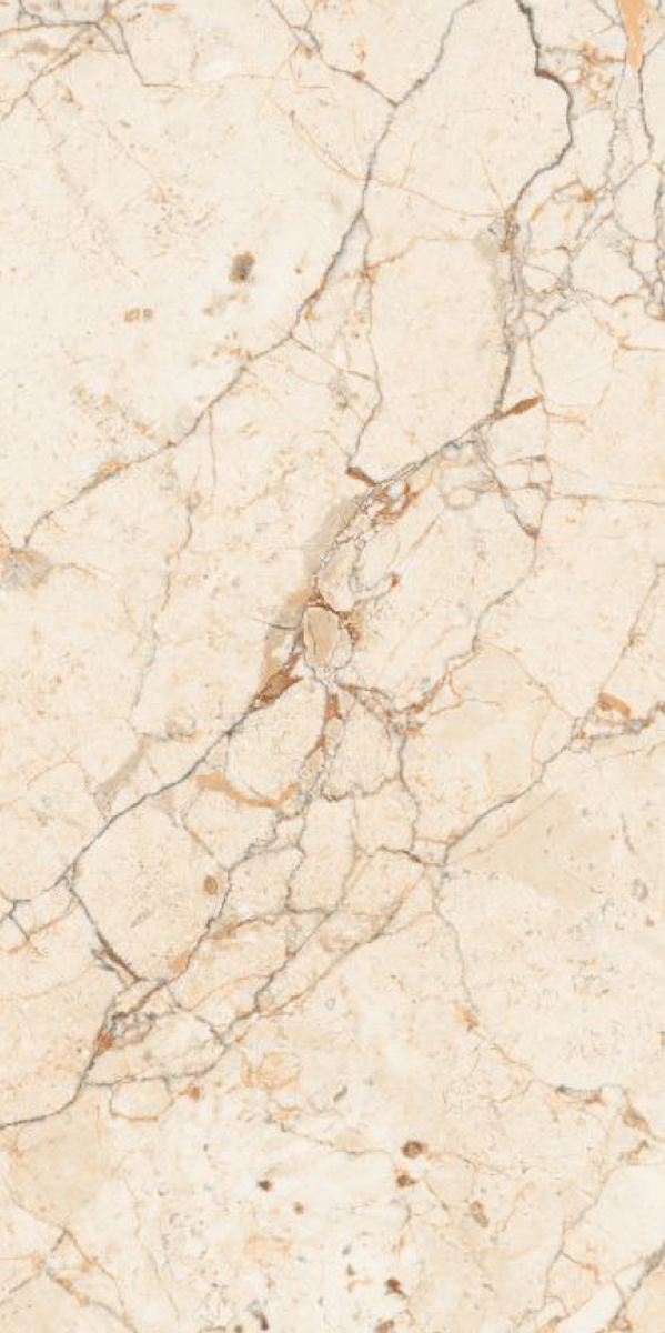 Glossy Finish Rosaliya Brown GVT 600x1200mm