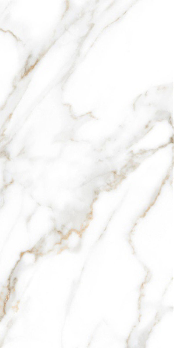 Glossy Finish Statuario Paradise GVT 600x1200mm