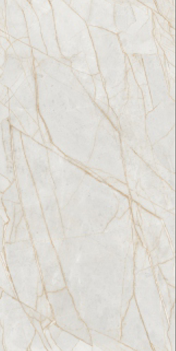 Glossy Finish Titanium Savona Gold  GVT 600x1200mm