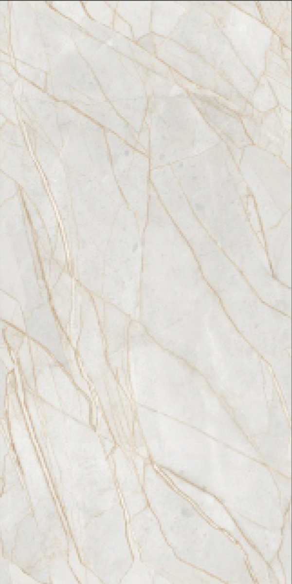 Glossy Finish Titanium Savona Gold  GVT 600x1200mm