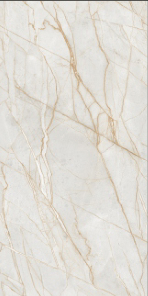 Glossy Finish Titanium Savona Gold  GVT 600x1200mm