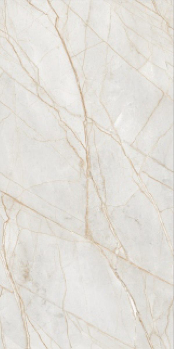 Glossy Finish Titanium Savona Gold  GVT 600x1200mm