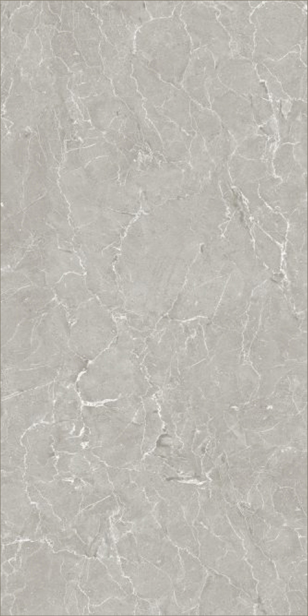 Glossy Finish Ultra Grey PGVT 600x1200mm