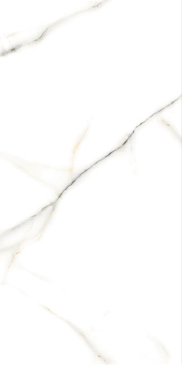 Glossy Finish Vanato Bianco GVT 600x1200mm