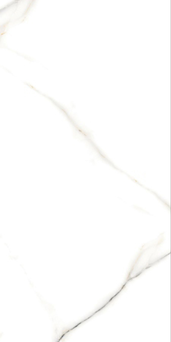 Glossy Finish Vanato Bianco GVT 600x1200mm