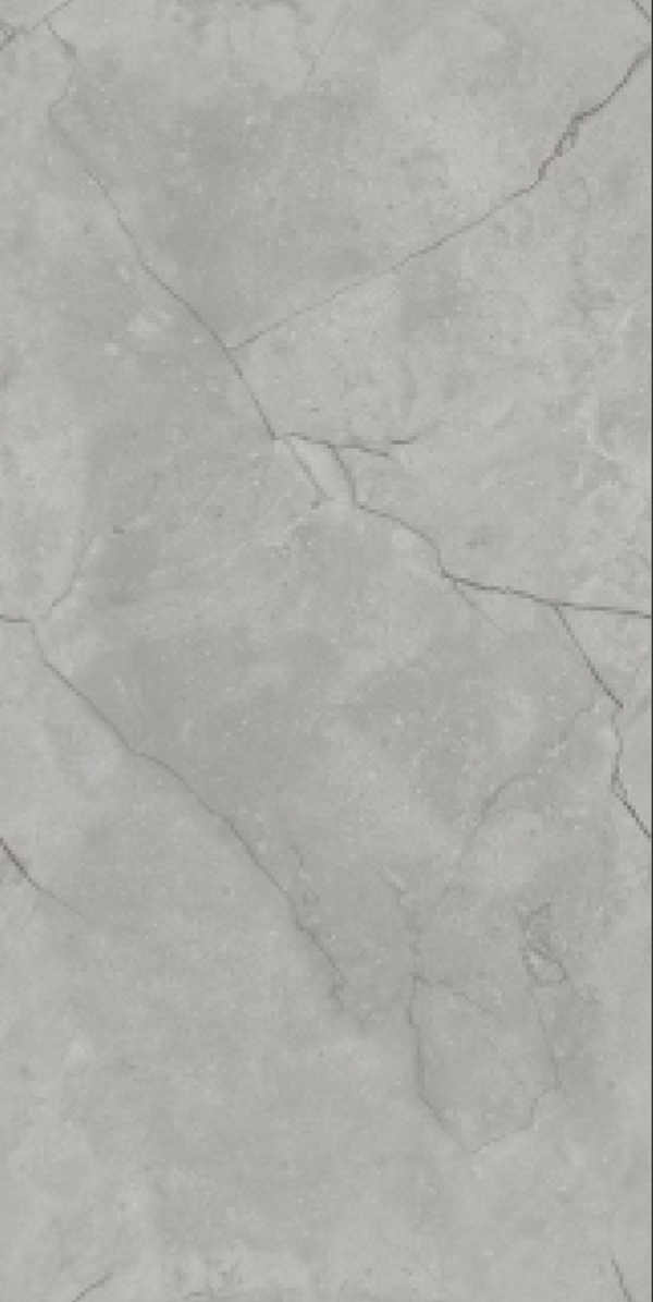 Glossy Finish Vizon Grey  GVT 600x1200mm