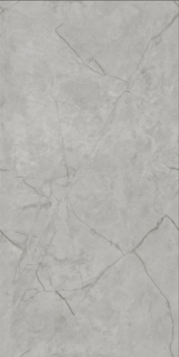 Glossy Finish Vizon Grey  GVT 600x1200mm