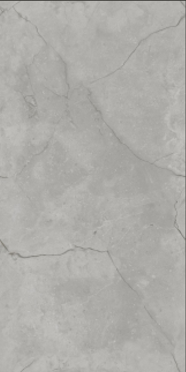 Glossy Finish Vizon Grey  GVT 600x1200mm