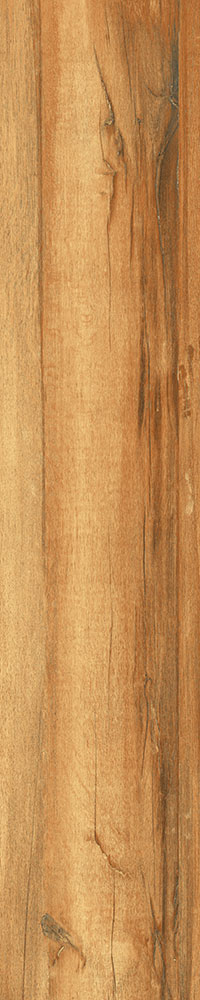 Matte Finish 10003 Porcelain 200x1000mm