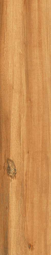 Matte Finish 10003 Porcelain 200x1000mm