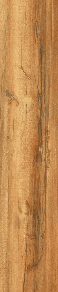 Matte Finish 10003 Porcelain 200x1000mm