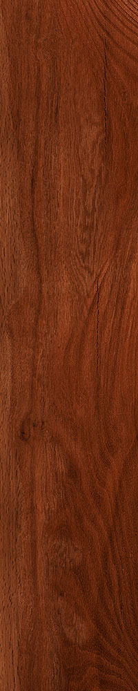 Matte Finish 10004 Porcelain 200x1000mm