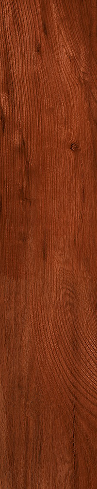 Matte Finish 10004 Porcelain 200x1000mm