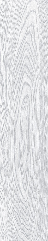 Matte Finish 10005 Porcelain 200x1000mm