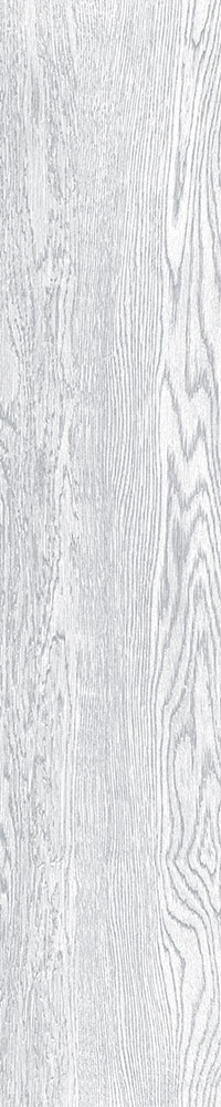 Matte Finish 10005 Porcelain 200x1000mm