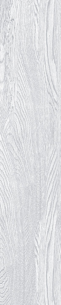 Matte Finish 10005 Porcelain 200x1000mm