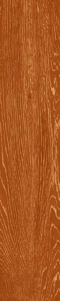 Matte Finish 10007 Porcelain 200x1000mm