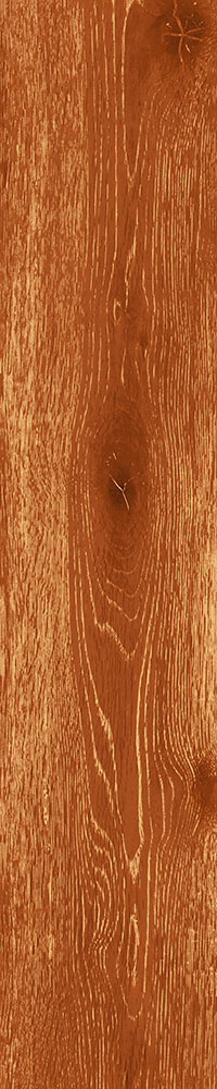 Matte Finish 10007 Porcelain 200x1000mm